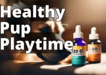 The Top Benefits Of Cannabidiol For Dogs: A Comprehensive Guide