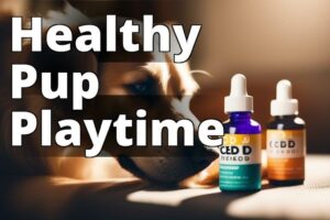 The Top Benefits Of Cannabidiol For Dogs: A Comprehensive Guide