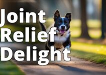 Keep Your Pet Active: The Benefits Of Cannabidiol (Cbd) For Pet Joint Health