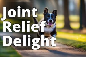 Keep Your Pet Active: The Benefits Of Cannabidiol (Cbd) For Pet Joint Health