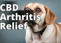 Cannabidiol For Pet Arthritis: A Natural Solution For Pain Relief