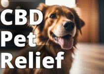 The Ultimate Guide To Using Cannabidiol For Pet Seizures