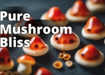 Why You Should Switch To Organic-Certified Amanita Mushroom Gummies