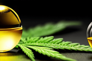 Ease Joint Pain Discover Cbd Magic