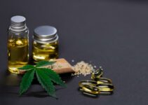 Top 4 Oils For Appetite Control With Cannabidiol