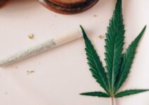 7 Best Insights Into Hormone Therapy And Cannabis Oil